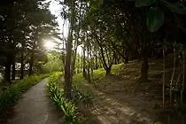 Hotel Buena Vista & Adventure GUANACASTE